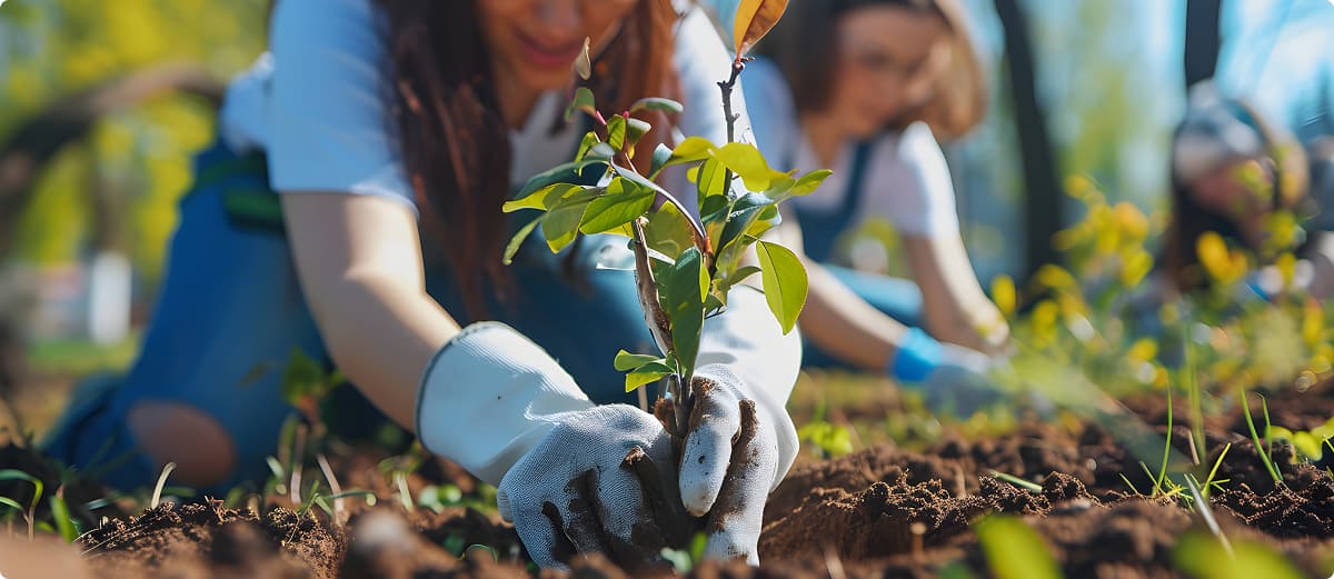 Гарантия роста