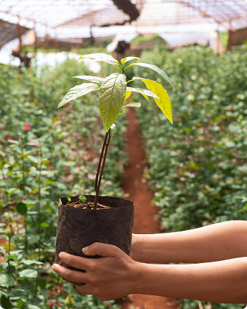 Сертификация и контроль качества